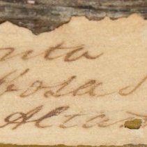 Historic label for Utterbackiana couperiana, 21-405.