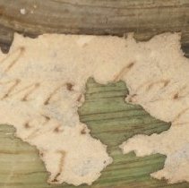 Historic label for Utterbackiana couperiana, 21-405.