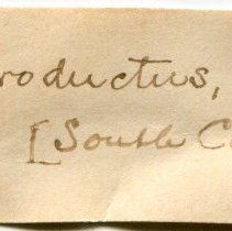 Historic Mazyck label for Elliptio producta, 21-463.