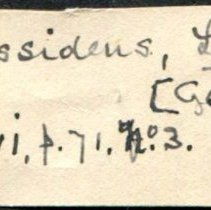 Historic Mazyck label for Elliptio crassidens, 21-472.