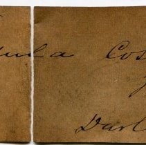 Historic label for Bostrycapulus aculeatus , FIC1297.