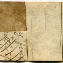 Historic label (reverse) for Rangia cuneata, FIC1314.