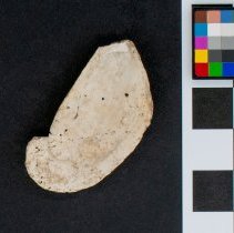 Perna conradiana, FlC1316. Internal view w/scale bar.