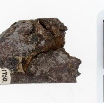 Meteorite, X1750. Top view with scale bar.