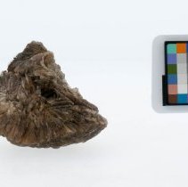 Gypsum, 5655. Front view with scale bar.