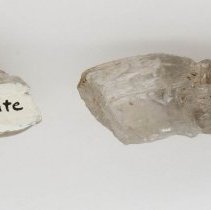 Gypsum, 5656. Bottom view with scale bar.