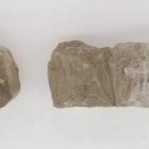 Gypsum, 5656. Top view with scale bar.