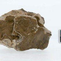 Calcite, 8436. Bottom view with scale bar.