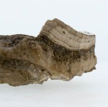 Calcite, 8436. Right view with scale bar.