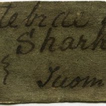 Historic label for Elasmobranchii (indeterminate), FIC1146.