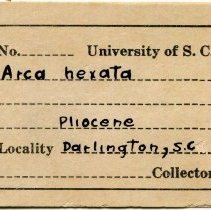 UofSC label for Dallarca idonea, FIC 1292.
