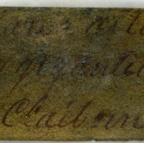 Historic label for Ancillaria altile, FIC1293.