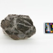 Anhydrite, 5584. Reverse view w/scale bar.