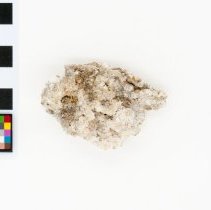 Alunogen, 5687. Top view w/scale bar.