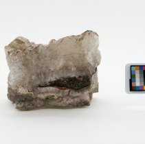 Apophyllite, 5739. Front view w/scale bar.