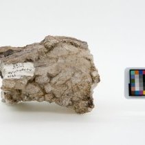 Apophyllite, 5739. Top view w/scale bar.