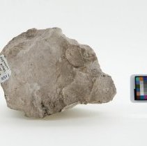 Calcite, 8513. Front view w/scale bar.