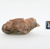 Gypsum, 5621. Reverse view w/scale bar.