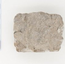 Gypsum, 5633. Top view w/scale bar.