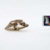 Gypsum, 5640. Reverse view w/scale bar.