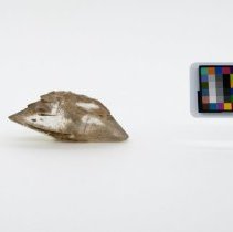 Gypsum, 5640. Front view w/scale bar.