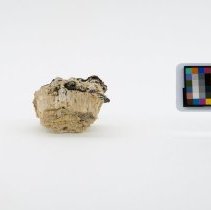 Alunogen, 5686. Front view w/scale bar.