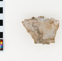 Alunite, 5695. Top view w/scale bar.