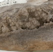 Alunite, 5695. Bottom view (detail).