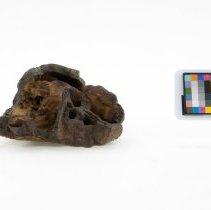 Limonite after Pyrite, 11384. Front view w/scale bar.