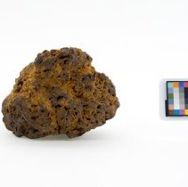 Limonite, 1976. Front view w/scale bar.