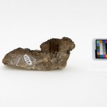 Anatase, 3211. Reverse view w/scale bar.