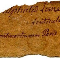 Historic label for Gypsum, 5640.