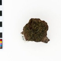 Forsterite, 7216. Top view w/scale bar.