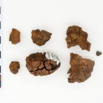 Limonite, 8087. Top view w/scale bar.