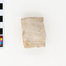 Aragonite, 8876. Top view w/scale bar.