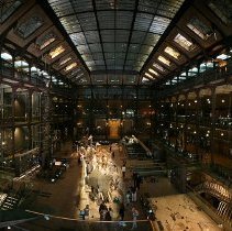 Grand Gallery of Evolution, Muséum National d'Historie Naturelle