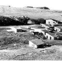 hedgerow under construction