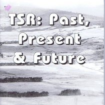 TSR: past, present, future