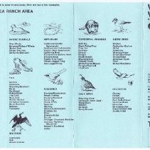 Whales and Iris reverse side