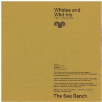 Whales and Wild Iris