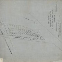 SUBDIVISION OF PORTION OF THE O.B.SPRING ESTATE
