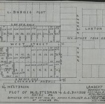 PLOT OF W.S. STEDMAN AND J.J.BARRON