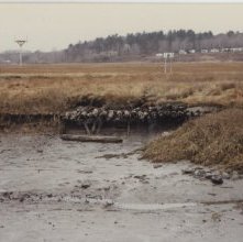 old wharf cribbing at shore