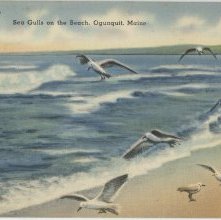 sea gulls flying over crashing waves