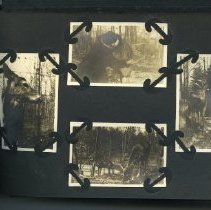 Album, Photograph