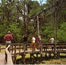 Corkscrew Swamp Sanctuary
