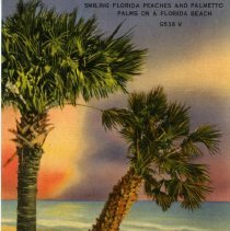 Smiling Florida Peaches and Palmetto Palms