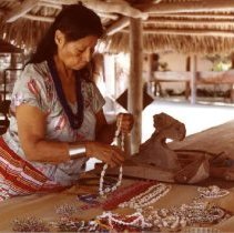 Miccosukee Indian Village