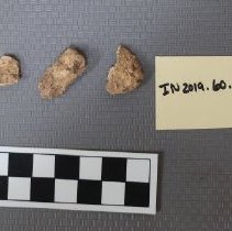 Bone, Archaeological