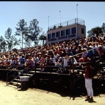 Collier County Stampede Rodeo